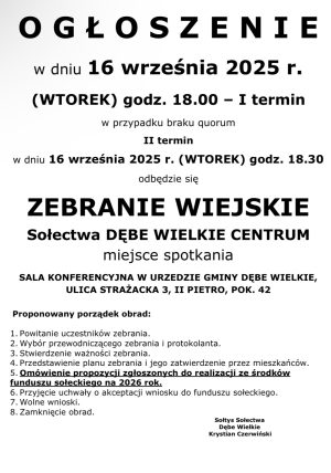 Miniaturka artykułu Zebranie Wiejskie Sołectwa Dębe Wielkie Centrum ‼️‼️