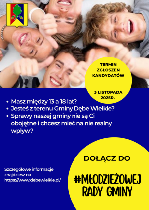Miniaturka artykułu MŁODZIEŻOWA RADA GMINY