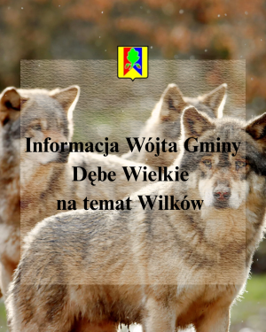 Miniaturka artykułu Informacja Wójta Gminy Dębe Wielkie w sprawie pojawiania się wilków.