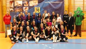 Miniaturka artykułu IX Siatkarski Turniej Wielkich Serc