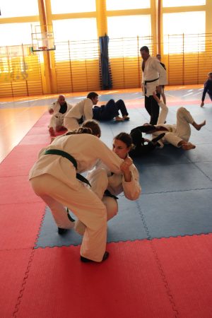 Miniaturka artykułu Seminarium Sztuk Walki